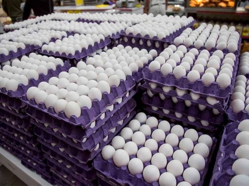 “مقاطعة البيض”.. الحملة الأشرس في تاريخ السعودية تلقى رد مفاجئ والغضب مستمر