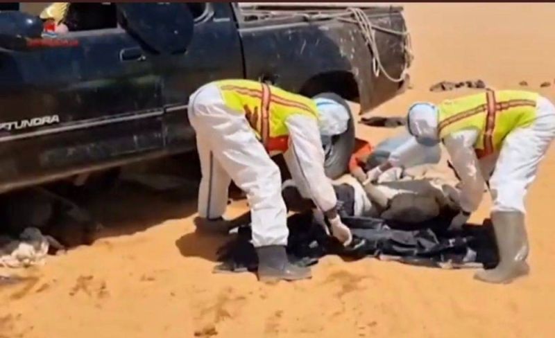 العثور على 20 شخصًا بعد وفاتهم عطشًا في الصحراء.. شاهد فيديو