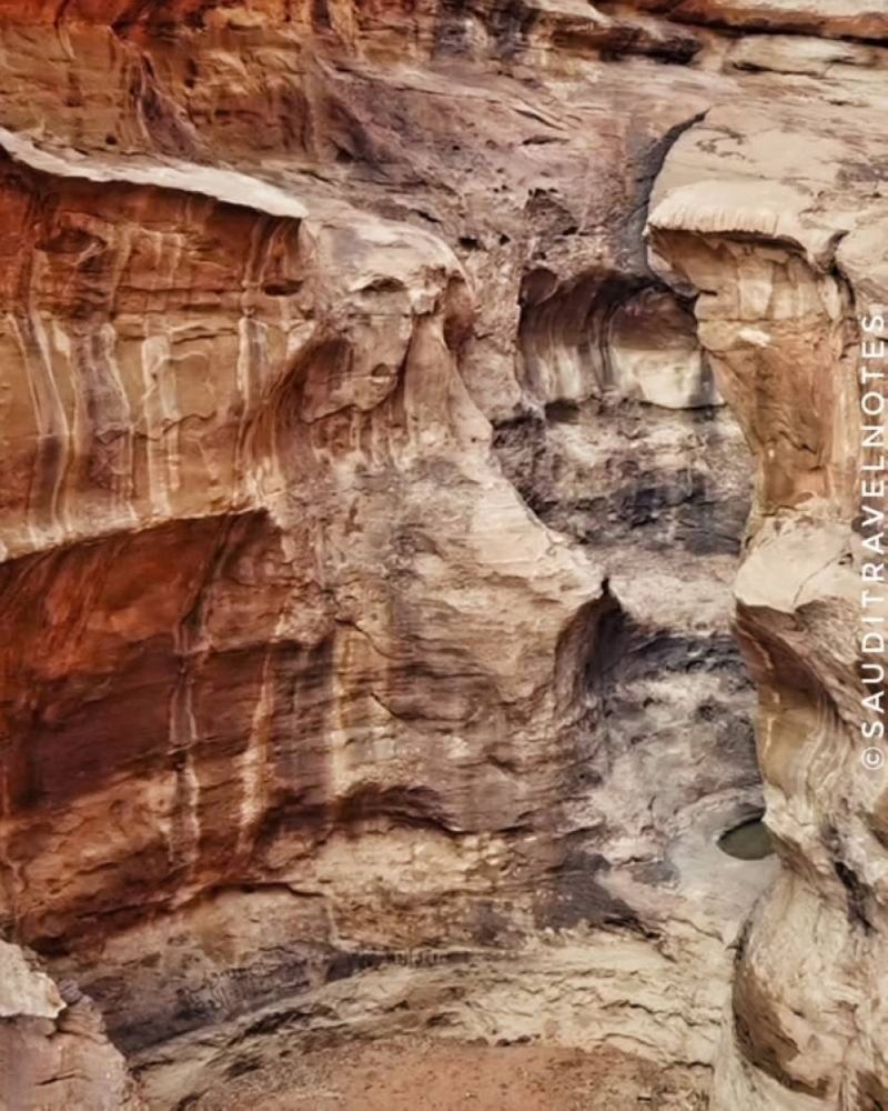 مدونة بريطانية تكتشف بركة مخفية في صحراء نيوم عن طريق الصدفة.. وهذا أهم ما يميز مياهها (شاهد صور)