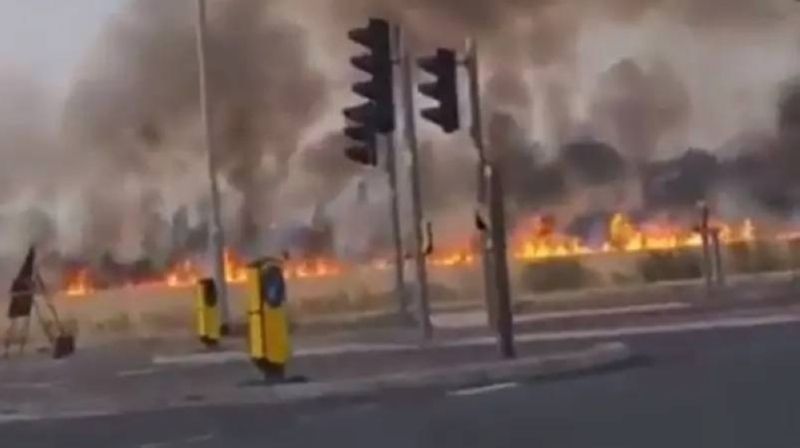 اندلاع النيران في الأشجار والدخان يكسو السماء بسبب موجة الحر في بريطانيا (شهد فيديو)