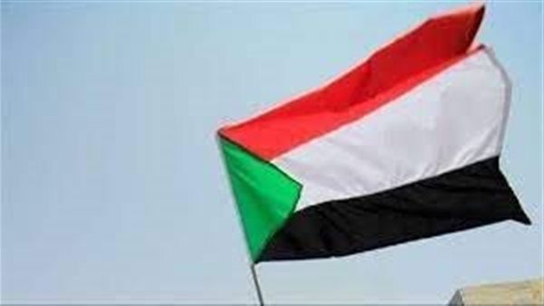 تعرف على آخر جهود الدولة المصرية لتهدئة الأوضاع في السودان
