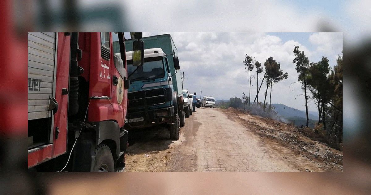 سوريا.. سباق مع الزمن لإطفاء حرائق أشعلها مُبكرًا ارتفاع الحرارة (صور)