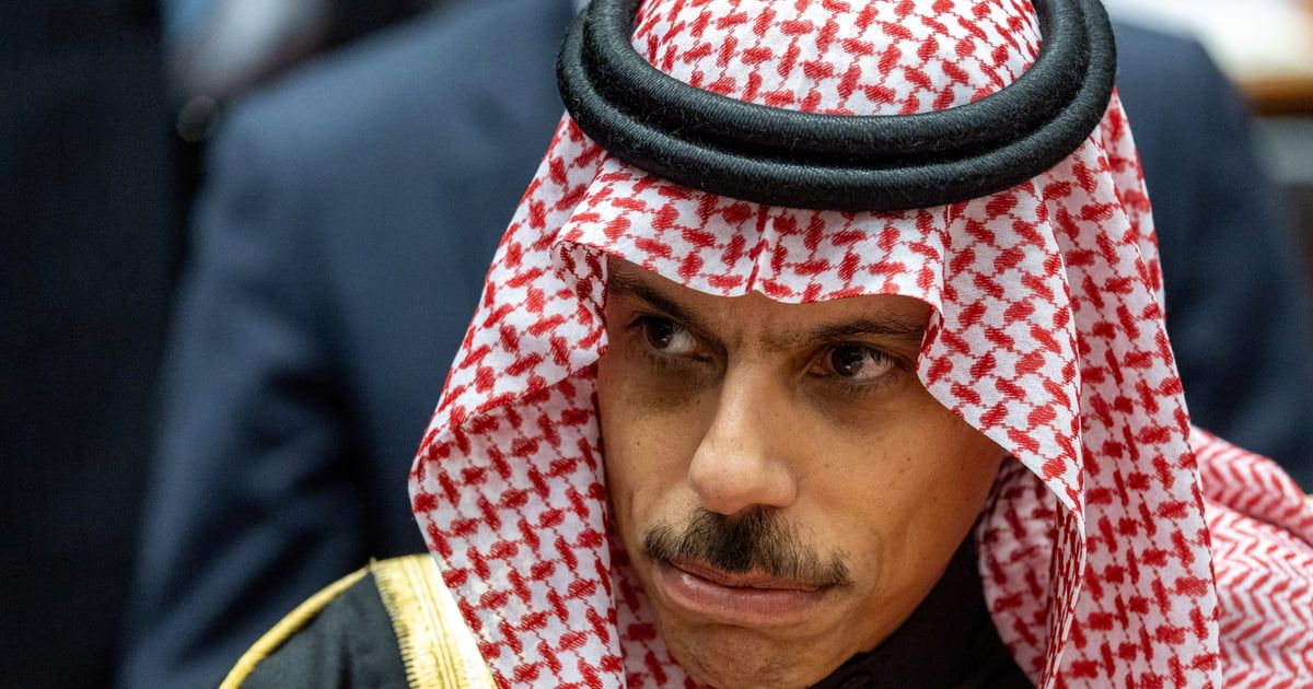 وزير خارجية السعودية: السلام في أوكرانيا سيتطلب "تسوية صعبة"