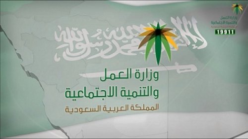 كل ما تحتاج معرفته عن شروط الضمان الاجتماعي المطور وخطوات التسجيل بسهولة