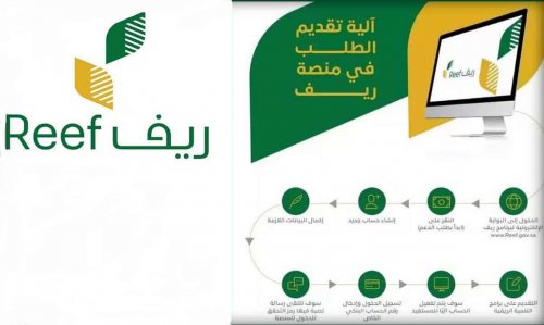 الاستعلام عن أهلية دعم ريف ومتى ظهورها بعد التسجيل