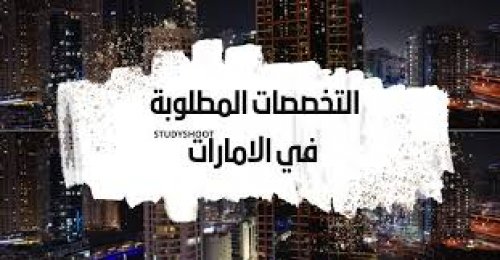 المهن المطلوبة للعمل في الامارات .. كم راتب كل مهنة ؟