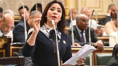 غادة علي"نائبة التنسيقية": قانون تنظيم ملكية الدولة للشركات بمثابة خارطة طريق لاقتصاد أكثر تنافسية ولطالما طالبنا به - الخليج الان