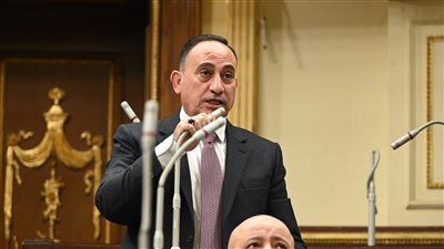 النائب محمد زين الدين يطالب الحكومة بتنفيذ توصيات البرلمان في الموازنة.. ويدعو للتحول للدعم النقدي المشروط - الخليج الان