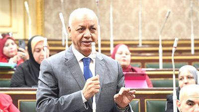 النائب مصطفى بكري: لدينا أمل كبير في جهود الحكومة.. و مصر قادرة على تجاوز التحديات - الخليج الان