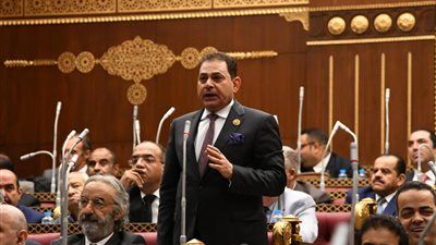 النائب فرج فتحي فرج: إسرائيل تُشعل الجبهات لتفجير المنطقة.. ومصر سباقة في الدفاع عن استقرار الإقليم - الخليج الان