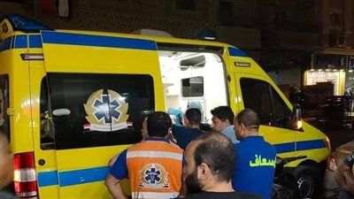 إصابة 7 أشخاص في حادث تصادم ميكروباص على طريق أجا – القاهرة - الخليج الان