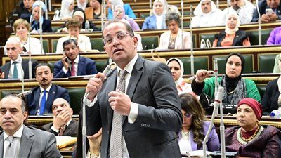 وزير المالية: خفض الدين وزيادة دعم الصادرات والأجور في الموازنة الجديدة - الخليج الان