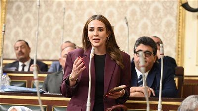 برلماني: استهداف قطر اعتداء مرفوض ومصر ترفع صوت العقل في وجه التصعيد - الخليج الان
