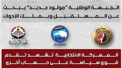 مصادر سياسية تكشف لـ تليجراف الخليج: حزب حماة الوطن فرس رهان انتخابات 2026 - الخليج الان