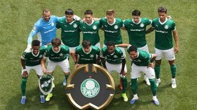 بالميراس البرازيلي يتأهل لربع نهائي كأس العالم للأندية بالفوز على بوتافوجو البرازيلي بهدف نظيف - الخليج الان