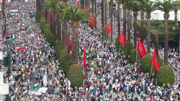المغرب: أكثر من 55 مظاهرة تضامنية دعماً لغزة في مختلف المدن - الخليج الان