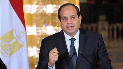 ثورة زراعية في عهد الرئيس السيسي.. إنجازات غير مسبوقة لتحقيق الاكتفاء الذاتي والتنمية المستدامة - الخليج الان