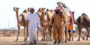 آل رشيد والعجمي والجاسر والشلاحي أبطال الفحل المنتج - الخليج الان