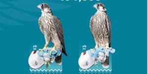 مزاد نادي الصقور.. بيع صقرين بـ 191 ألف ريال في الليلة الـ 19 - الخليج الان