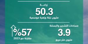 "بلدية دبي" تعزّز الإطلالة الحضارية للإمارة بزراعة 216.500 شجرة خلال 2024 - الخليج الان