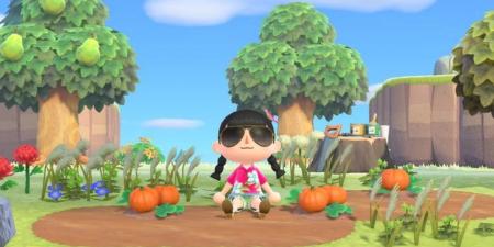 جميع جزر Kapp’n الغامضة في Animal Crossing: New Horizons مرتبة من الأدنى للأعلى - الخليج الان