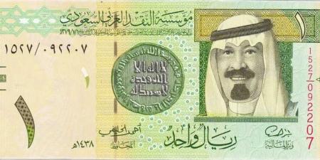 سعر الريال السعودي مقابل الجنيه المصري اليوم الجمعة 31 يناير 2025 - الخليج الان