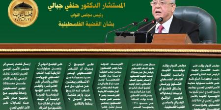 قضية شعب ينضال.. أهم تصريحات رئيس مجلس النواب بشأن القضية الفلسطينية ورفض التهجير.. انفو - الخليج الان