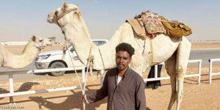 مهرجان الهجن.. «الخاطف» يُغير حياة البشرا - الخليج الان