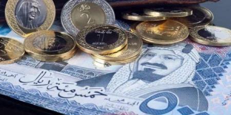 سعر الريال السعودي اليوم الأربعاء 12-2-2025 في مصر - الخليج الان