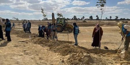 زراعة الطرق المؤدية لمداخل محميتي قارون و وادى الريان بالفيوم - الخليج الان