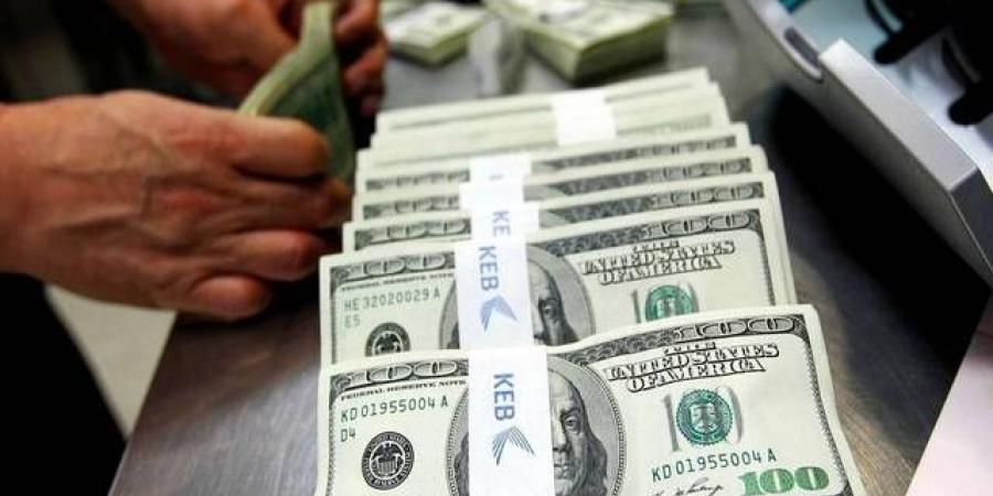 تحويلات الوافدين بالسعودية ترتفع إلى 24.66 مليار دولار في 8 أشهر من 2024 - الخليج الان