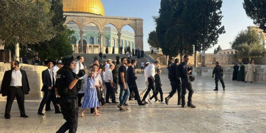 محافظة القدس ترجّح لـ "المملكة" ارتفاع اقتحامات المستوطنين بسبب "الأعياد اليهودية" - الخليج الان