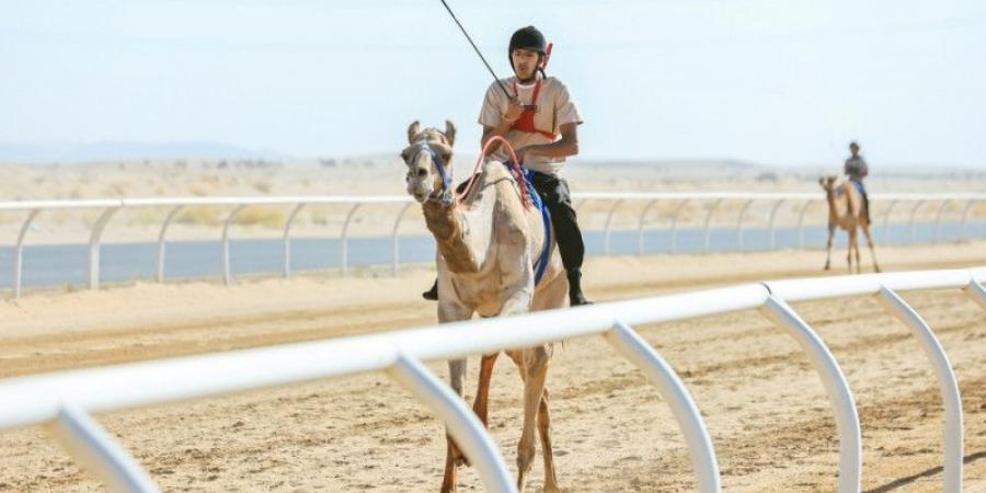 العتيبي يتوّج أبطال هجن نجران - الخليج الان