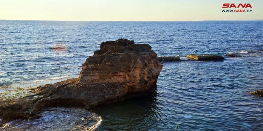 الحرارة أعلى من معدلاتها والجو بين الصحو والغائم جزئياً - الخليج الان