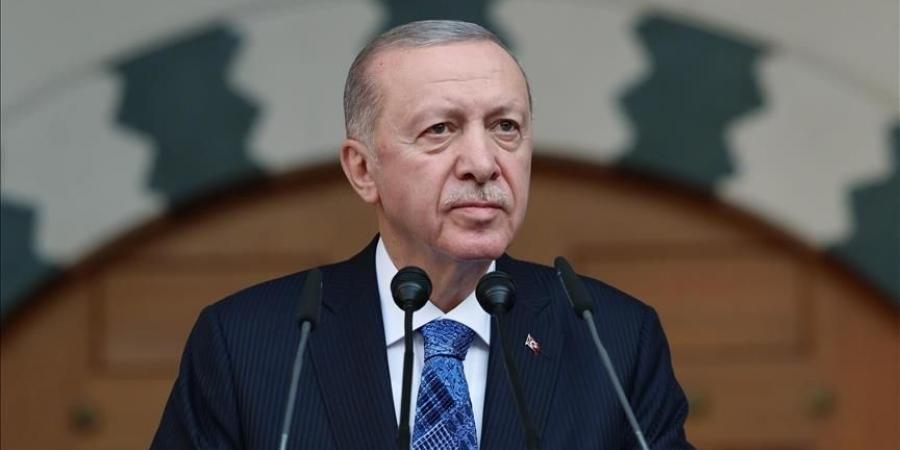 الرئيس أردوغان يدعو العالم للوقوف ضد الارهاب الإسرائيلي - الخليج الان