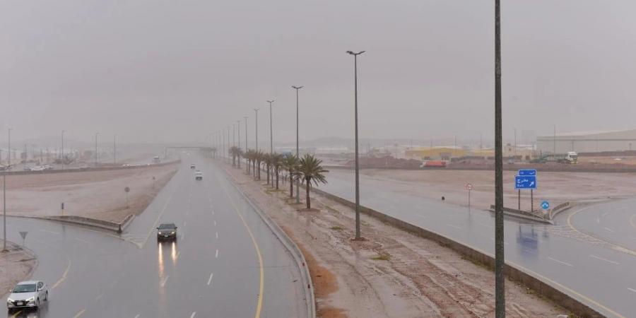 أمطار ورياح وأتربة.. ظواهر جوية متعددة على الشرقية - الخليج الان