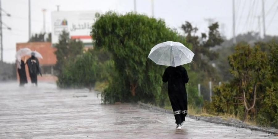 60 محطة رصد تسجل أمطارًا في 8 مناطق.. و"مكة المكرمة" أعلى معدل هطول - الخليج الان