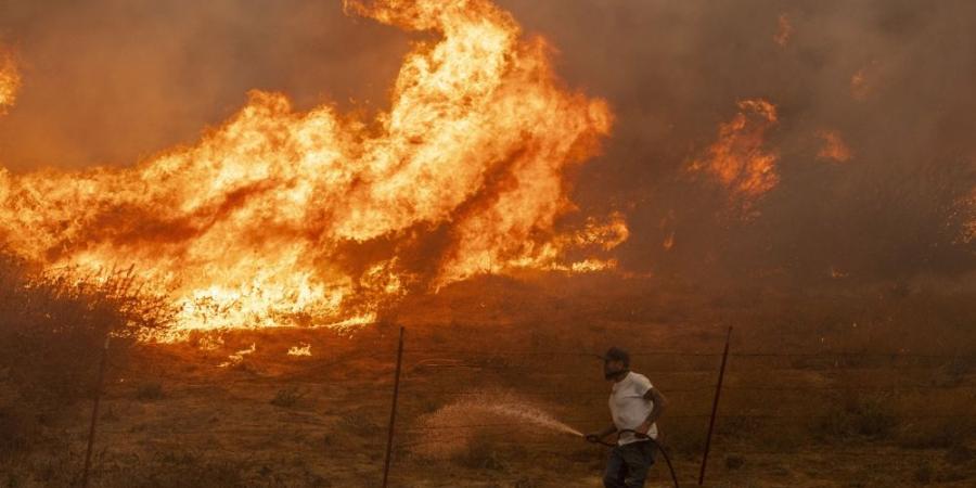 بسبب حرائق الغابات.. إعلان حالة الطوارئ وإجلاء الآلاف في نيوجيرسي وكاليفورنيا - الخليج الان