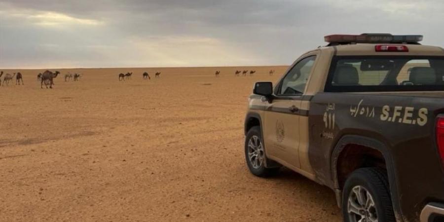 "الأمن البيئي" يضبط مخالفًا للرعي في محمية الملك عبد العزيز الملكية - الخليج الان