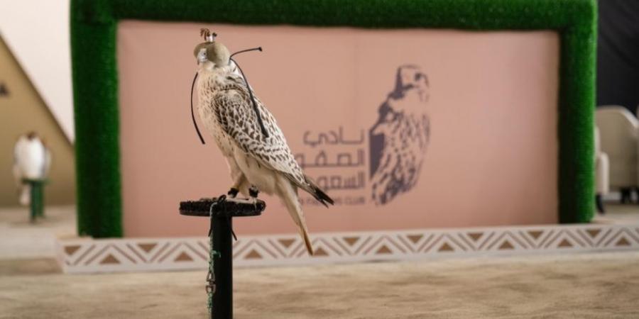 صور| نتائج أول 6 أشواط بمنافسات كأس نادي الصقور في حفر الباطن - الخليج الان