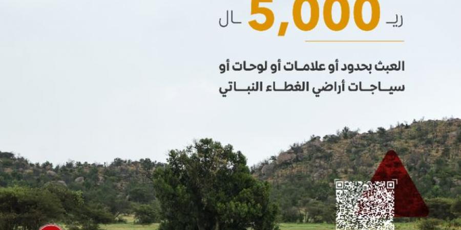 "مكافحة التصحر": 5000 ريال غرامة العبث بعلامات الغطاء النباتي وسياجاته - الخليج الان