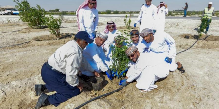 نقل تجربة الأحساء في الري الحديث لـ «موارد المياه العمانية» - الخليج الان