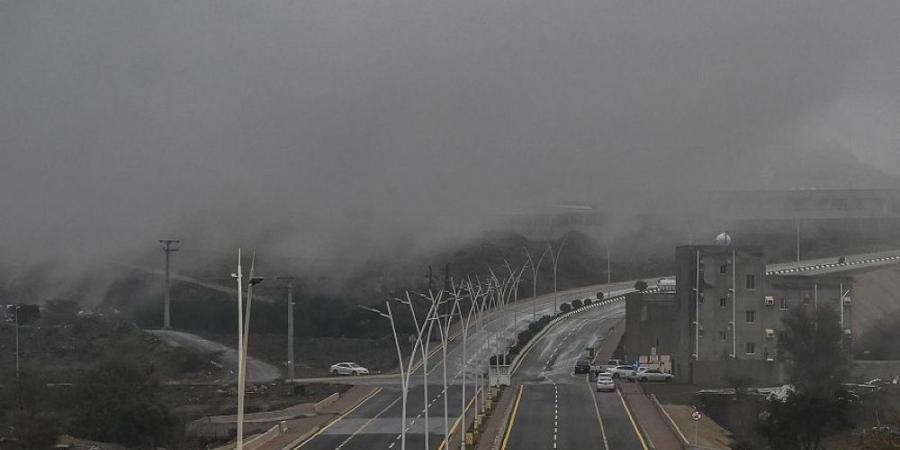 من بينها الشرقية.. ضباب على 5 مناطق خلال الصباح الباكر - الخليج الان