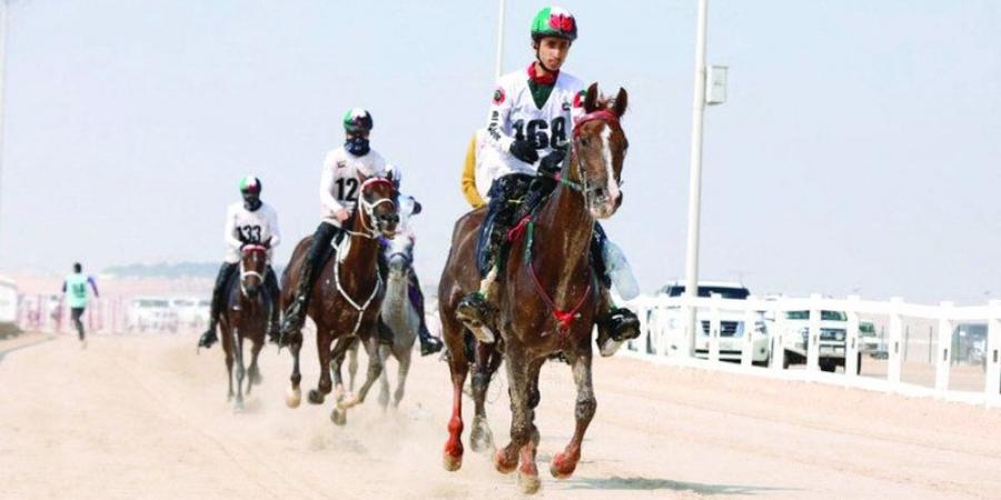 سباق كأس عيد الاتحاد للقدرة ينطلق في الوثبة اليوم - الخليج الان