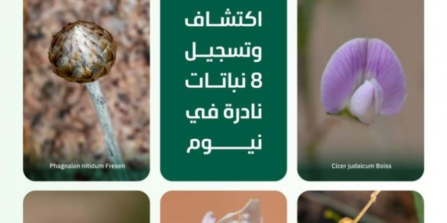 المملكة تسجل 8 أنواعٍ جديدة من النباتات النادرة على مستوى العالم - الخليج الان