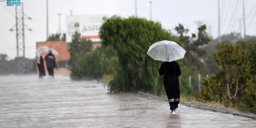 طقس الأحد.. أجواء باردة وصقيع بالصباح الباكر على أجزاء بـ9 مناطق - الخليج الان