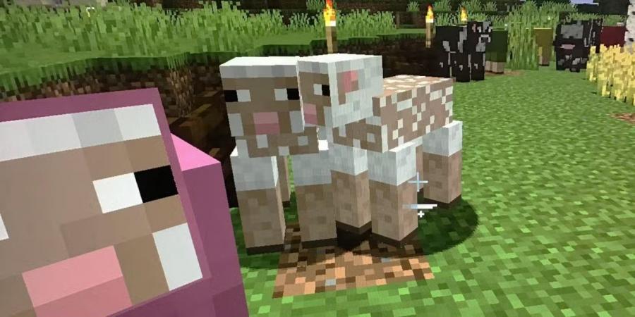 أشياء أساسية يجب على الجميع بناؤها أولاً في Minecraft – الجزء الخامس - الخليج الان جيمنج