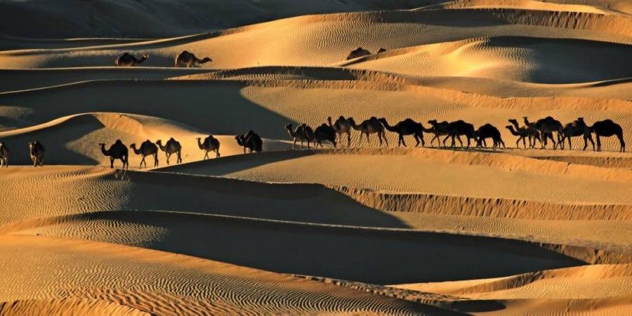 «ملتقى التصوير» في دبي.. رحلات بصرية عامرة بالقصص الإنسانية - الخليج الان في الأربعاء 09:50 صباحاً