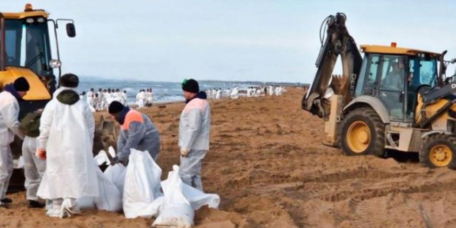 العثور على 30 حوتًا نافقًا في البحر الأسود بعد انسكاب نفطي - الخليج الان