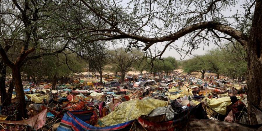 لاجئون سودانيون يدفعون 150 ألف دولار لـ مواطن تشادي.. ما القصة - الخليج الان